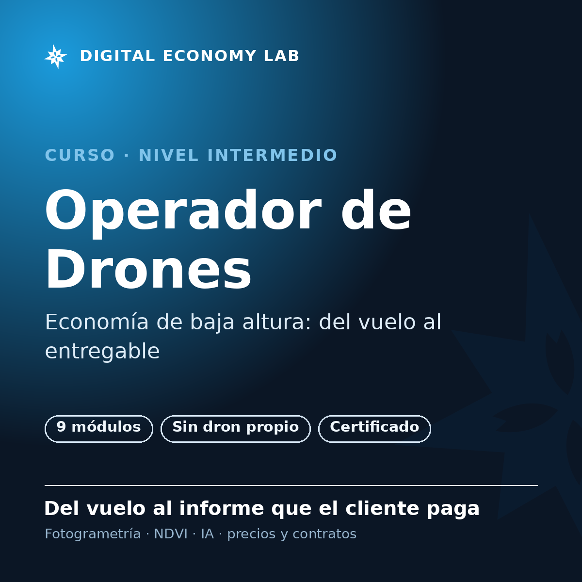 Operador de Drones y Economía de Baja Altura