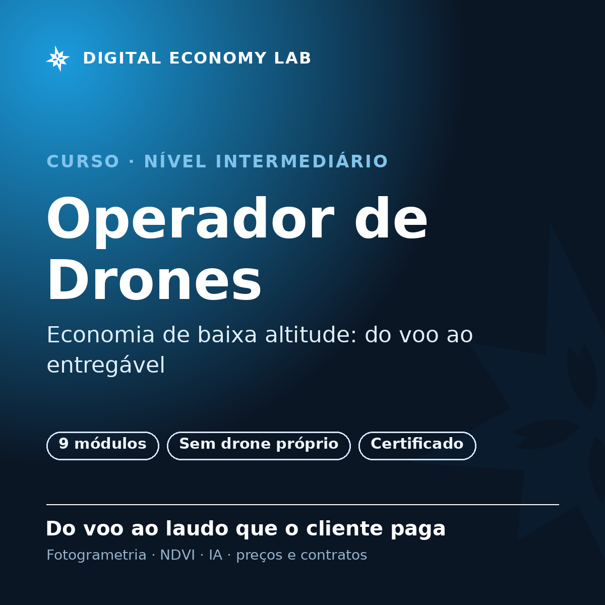 Operador de Drones e Economia de Baixa Altitude